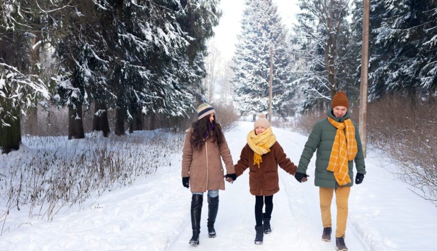 Budget Shimla Manali tour: upto 30% off Book Now