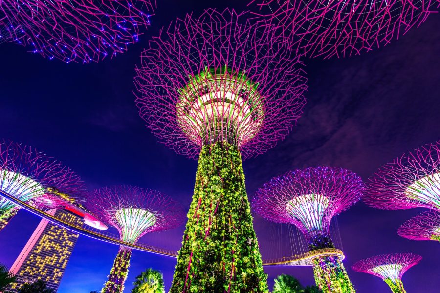 Singapore tour package