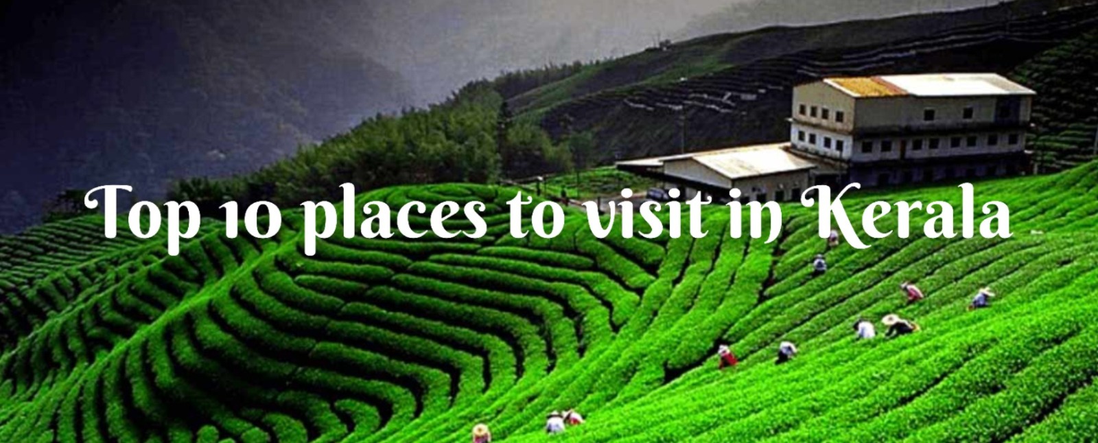 Top 10 places to visit in Kerala: