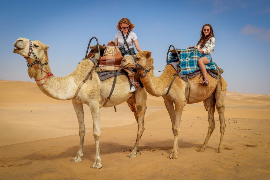 Camel Safari | Desert safari