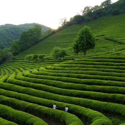 Kerala