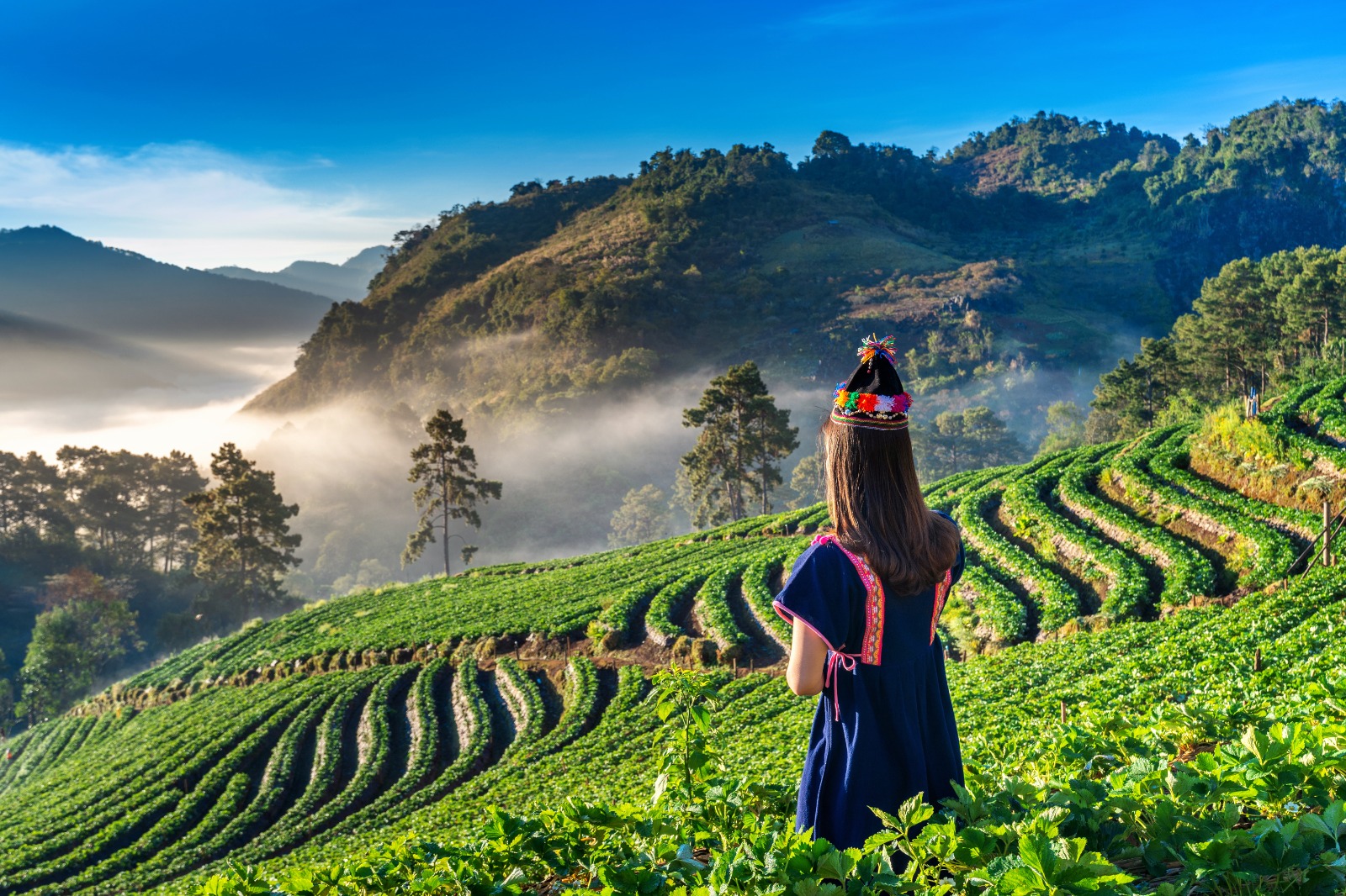 Munnar Tour Packages