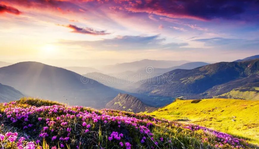 Valley of Flowers – A UNESCO World Heritage Site Known for Its Vibrant Flora