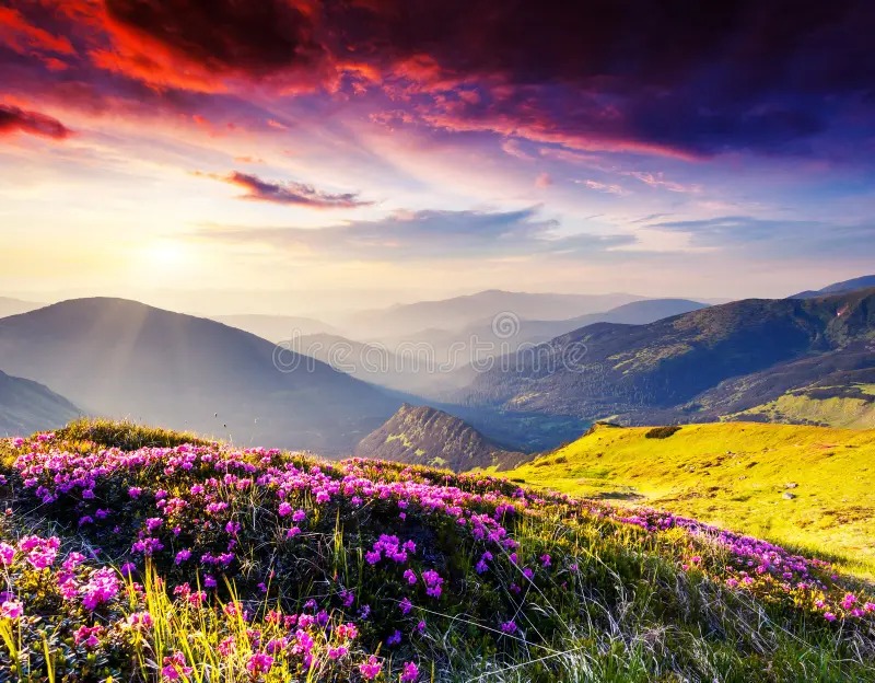 Valley of Flowers – A UNESCO World Heritage Site Known for Its Vibrant Flora