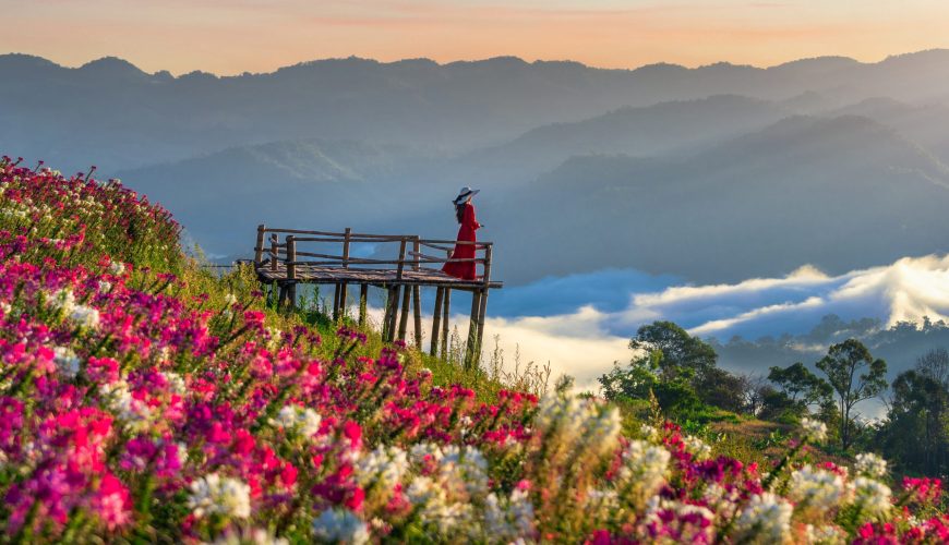 Valley of Flowers