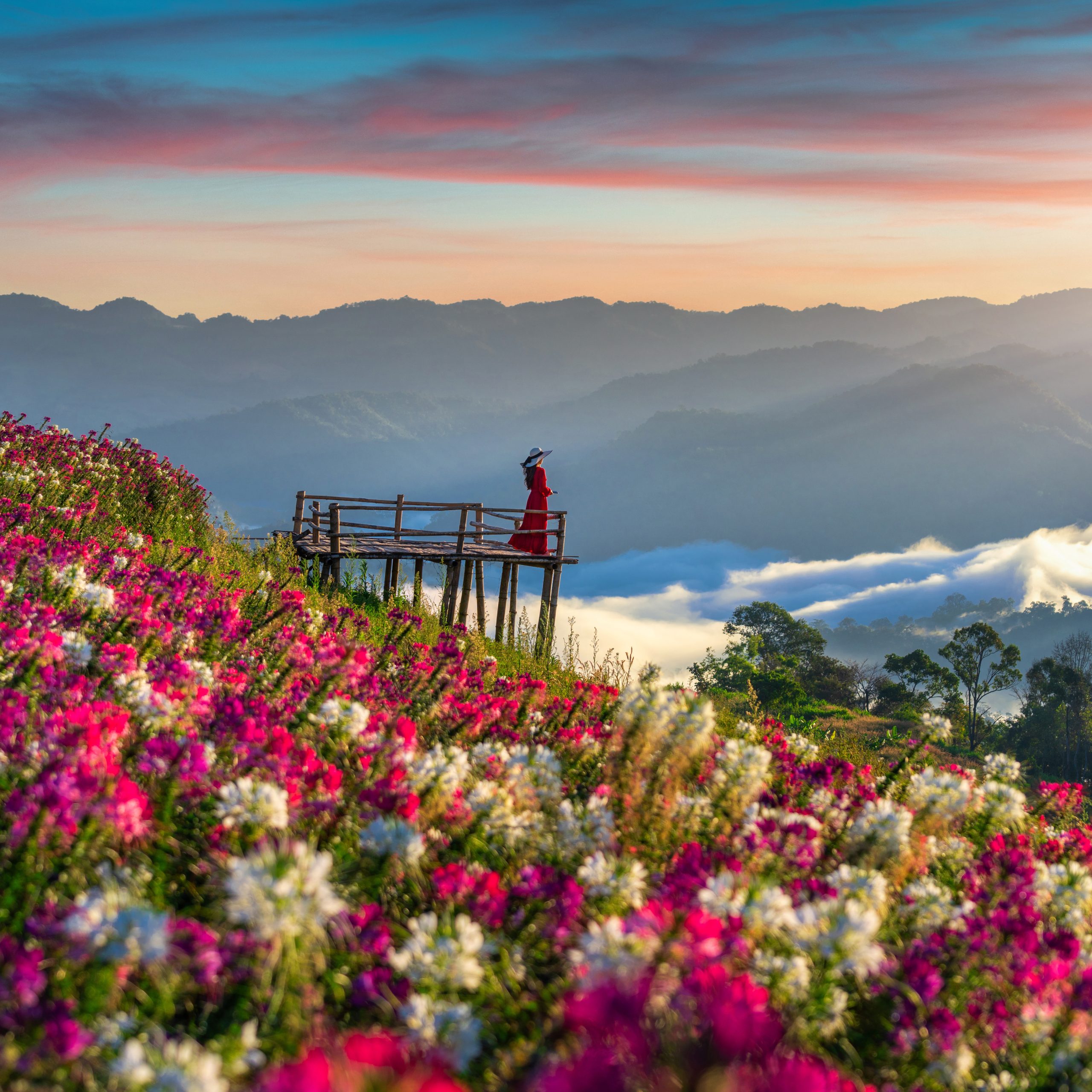 Valley of Flowers