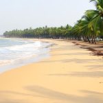 Scenic view of Cherai Beach with golden sands, clear waters, and traditional Chinese fishing nets.