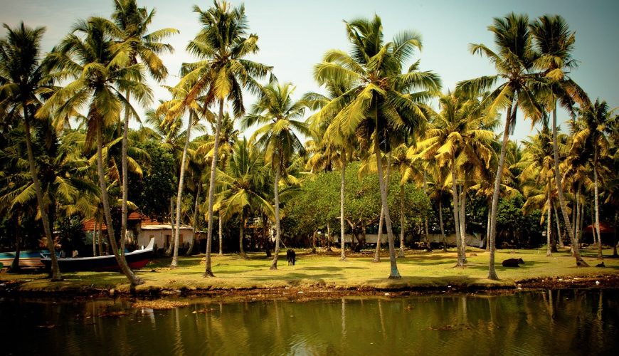 Kasaragod