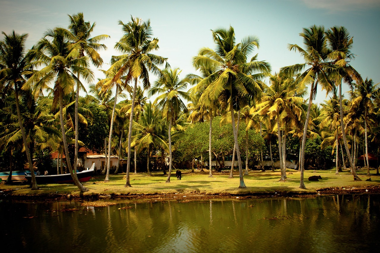 Kasaragod