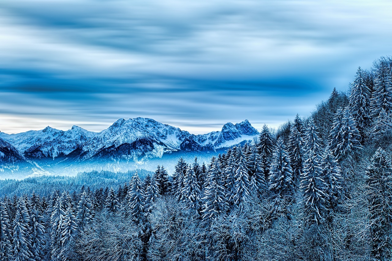 A scenic view of snow-capped mountains and pine trees in Shimla during winter