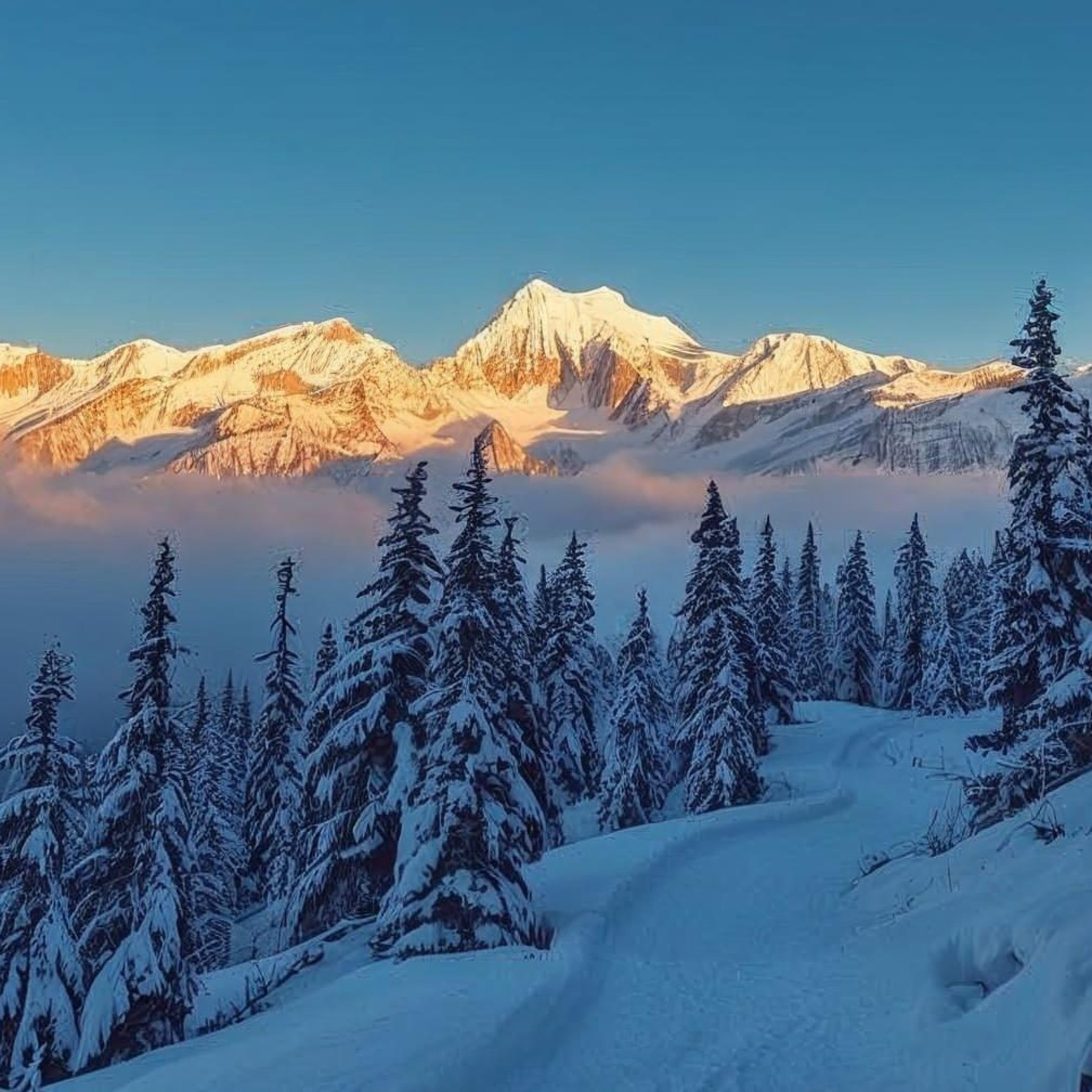 Kedarkantha Trek: Know the Hidden secrets Of this trek